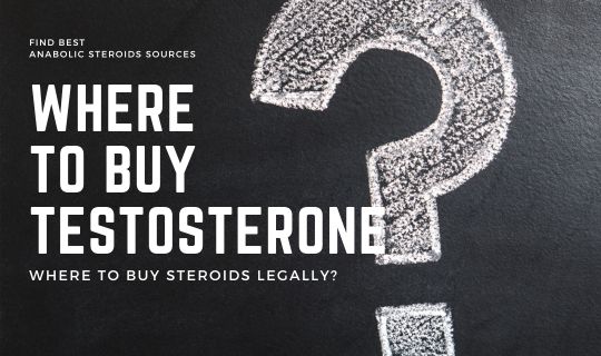 Where to buy testosterone